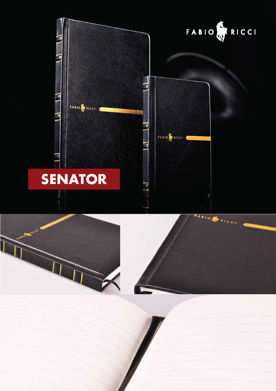 Fabio Ricci Notebooks